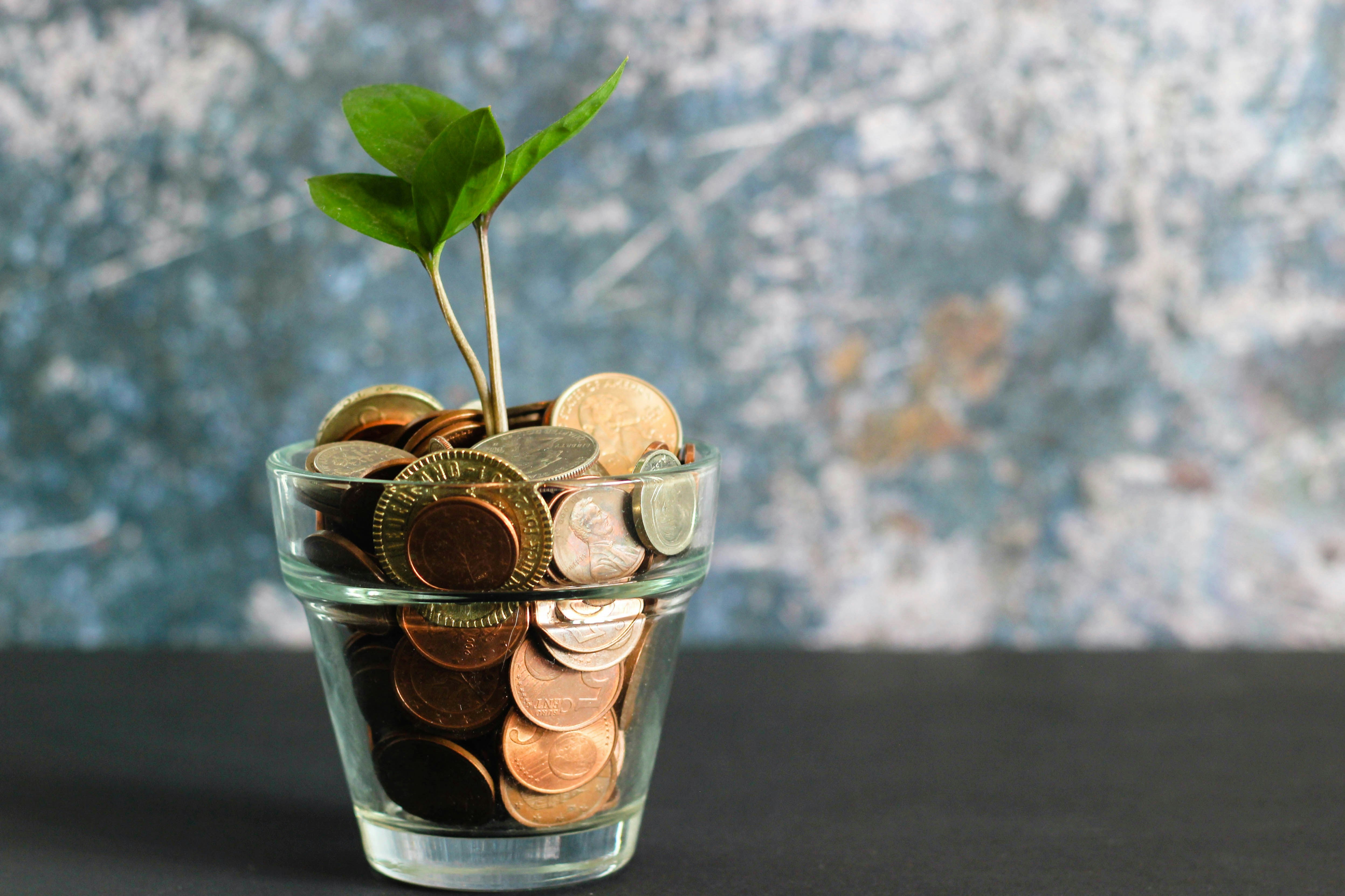 coins in pot